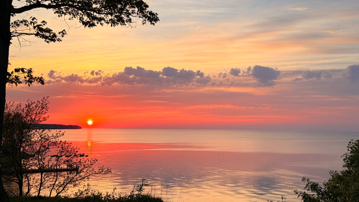 Orange sunset over Lake Erie with silhouetted shoreline trees, Cleveland, Ohio